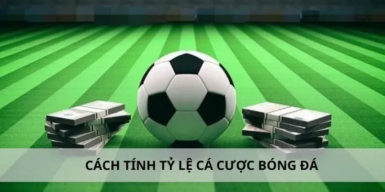 Cá Cược Bóng Đá 99OK Bí Kíp Soi Kèo Chuẩn Từ Các Cao Thủ 1 Cá Cược Bóng Đá 99OK Bí Kíp Soi Kèo Chuẩn Từ Các Cao Thủ
