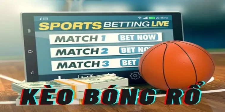 Cá Cược Bóng Rổ 99OK Nắm Trọn Kèo Thơm Từ Giải Đấu NBA 2 Cá Cược Bóng Rổ 99OK Nắm Trọn Kèo Thơm Từ Giải Đấu NBA