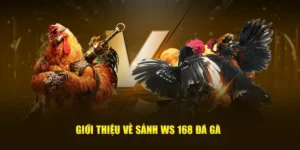 Bí Kíp Chơi Đá Gà WS168 Tại 99OK Luôn Thắng Cho Mọi Kê Thủ 1 Bí Kíp Chơi Đá Gà WS168 Tại 99OK Luôn Thắng Cho Mọi Kê Thủ