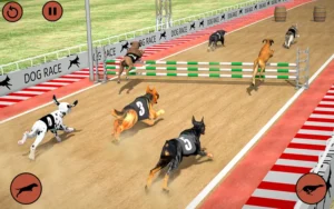 Hướng Dẫn Chơi Game Nhanh Đua Chó Tại 99OK Từ A Đến Z Cho Fan 1 Hướng Dẫn Chơi Game Nhanh Đua Chó Tại 99OK Từ A Đến Z Cho Fan