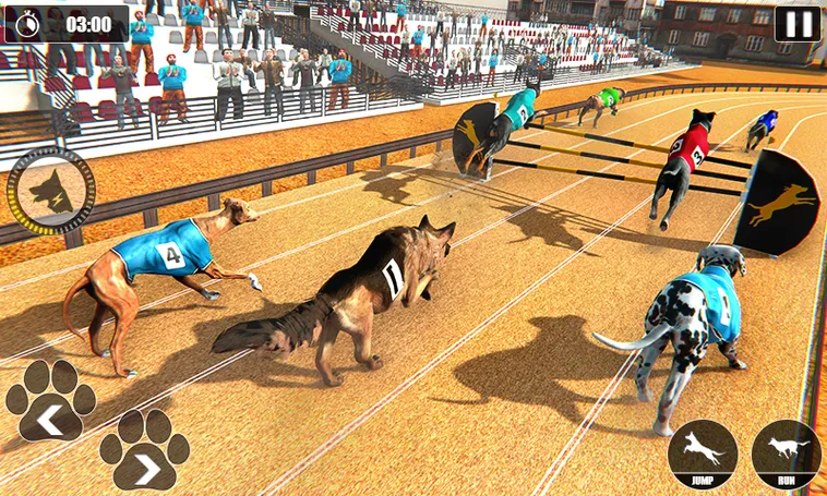Hướng Dẫn Chơi Game Nhanh Đua Chó Tại 99OK Từ A Đến Z Cho Fan 2 Hướng Dẫn Chơi Game Nhanh Đua Chó Tại 99OK Từ A Đến Z Cho Fan