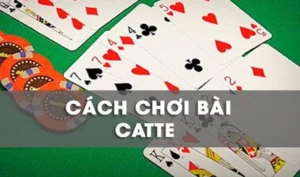 Bật Mí Cách Chơi Sắc Tê Nhà Cái 99OK Thắng Lớn Từ Các Cao Thủ 4 Bật Mí Cách Chơi Sắc Tê Nhà Cái 99OK Thắng Lớn Từ Các Cao Thủ